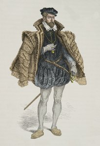 Portræt af Gaspard de Coligny (Gravering) af Alphonse Marie de Neuville