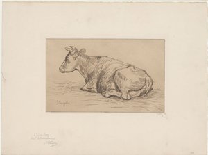 Liggende ko af Alphonse Stengelin (signed by artist)