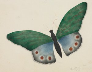Sommerfugl (akvarel)