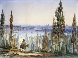 Konstantinopel fra Eyub, af Amadeo Preziosi