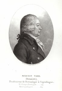Martin Vahl af Ambroise Tardieu