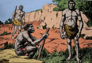 Forhistorie: repræsentation af Homo rhodesiensis eller mand fra Broken Hill, stamfader til Homo sapiens, hvis fossiler blev opdaget i Rhodesia (det nuværende Zambia i Afrika). Tegning af A. Forestier. DR
