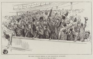 Det store unionistmøde i operahuset, Haymarket