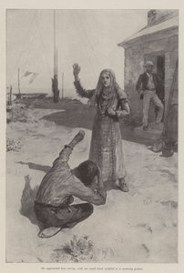The Mermaid of Lighthouse Point, af Bret Harte