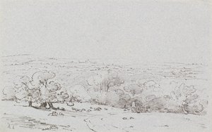 Carriage Approach to Bromley Hill, ca. 1803 (ætsning)