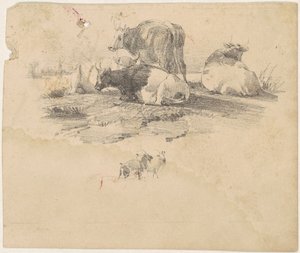 Kvægbesætning af American 19th Century