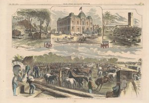 Krigsskitser i Hovedstaden af American 19th Century