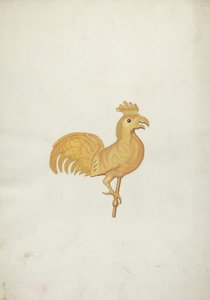 Hane vejrhane af American 20th Century