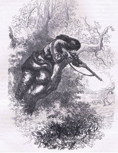 Amerikansk skytte op ad et træ, illustration fra Cassells History of the United States udgivet af Cassell, Petter & Galpin, ca. 1900 (litho) af American English school