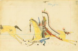 Skade, hylende ulv, sydlig cheyenne af American Native