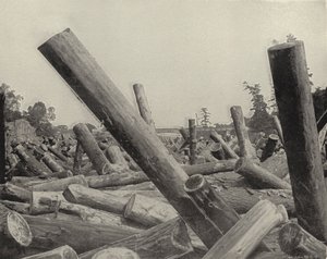 A Log Jam i St Croix River, Wisconsin (s/h-billede) af American Photographer (after)