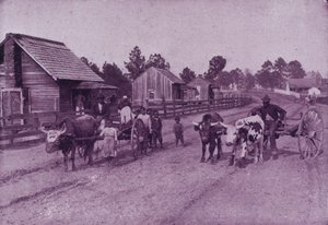 En landsbyscene med glad indhold i Virginia (s/h-billede)