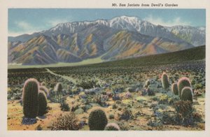 Californien: Mount San Jacinto fra Devil´s Garden (foto) af American Photographer (after)