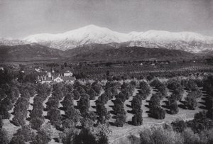 Californien: Redlands, fra Smiley Heights, solskin, appelsinlunde og sneklædte tinder (s/h foto) af American Photographer (after)