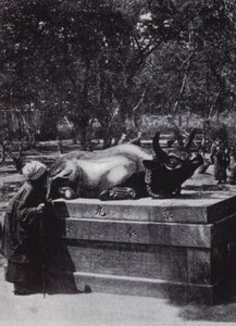 Troende kvinde, der stryger en bronzetyr (s/h-billede) af American Photographer (after)
