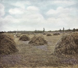 Oregon: Alfalfa (foto) af American Photographer (after)