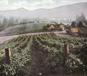 Oregon: Diversificeret landbrug i Willamette Valley (foto) af American Photographer (after)