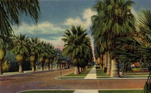 Phoenix, Arizona: North Central Avenue (foto) af American Photographer (after)