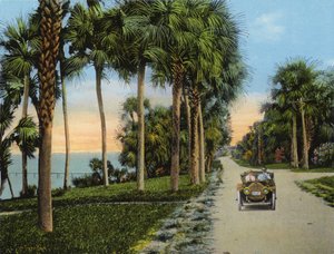 Riverside Drive, Fort Pierce, Florida (foto) af American Photographer (after)