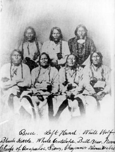 Bose, venstre hånd, hvid ulv, sort kedel, hvid antilope, tyrebjørn, Neva: høvdinge for stammerne Arapahoe, Sioux, Cheyenne og Kiowa, ca. 1860-68 af American Photographer