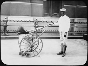 City Street Cleaner, Philadelphia, ca. 1920 af American Photographer