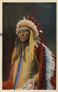 Hollow Horn Bear, Sioux-indianerhøvding (foto) af American Photographer
