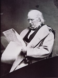 Horace Greeley (1811-72) (s/h-billede) af American Photographer