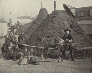 Indvendig udsigt over Lapland Village af American Photographer
