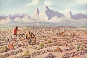 Mystic Maze of the Mojave Indians, nær Needles, Californien (farvet foto) af American Photographer