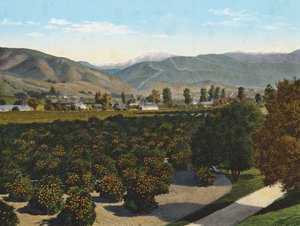 "Old Baldy" fra Pomona Valley (farvefoto) af American Photographer