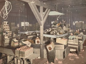 Appelsinpakning i Redlands, udgivet 1899 (foto) af American Photographer