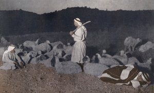 Palæstinensiske hyrder holder øje med deres flok om natten (foto i farver) af American Photographer