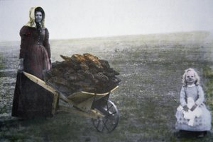 Pionerkvinde samler kvæggødning, Kansas, ca. 1880 (farvet foto) af American Photographer