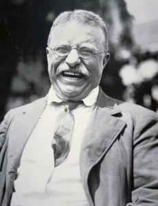 Præsident Theodore Roosevelt, ca. 1917 (s/h-foto) af American Photographer