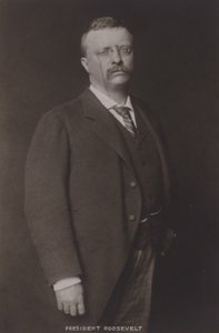 Theodore Roosevelt, 26. præsident for USA, 1904 af American Photographer