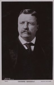 Theodore Roosevelt, amerikansk politiker og USA