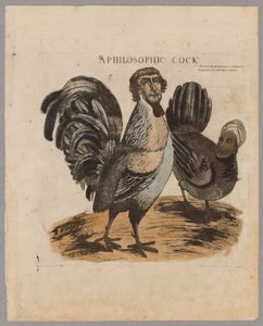 En filosofisk hane, 1804 af American School