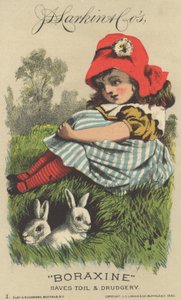 Annonce for J. D. Larkin & Cos Boraxine, 1882