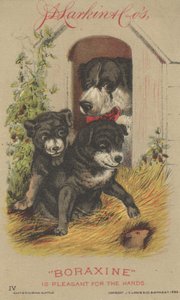 Annonce for J. D. Larkin & Cos Boraxine, 1882 af American School