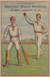 Amerikansk cricket af American School