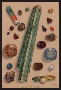 Amerikanske ædelstene (farvelitografi) af American School