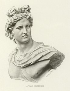 Apollo Belvedere af American School
