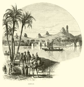 Aswan af American School