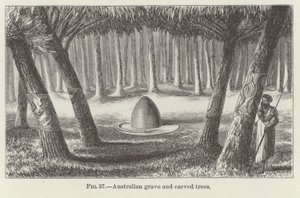 Australsk grav og udskårne træer af American School