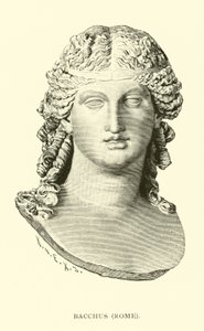 Bacchus, Rom af American School