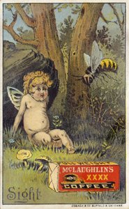 Bee angriber putto af American School