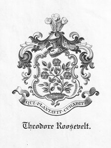 Bogplade af præsident Theodore Roosevelt (1858-1919) (tryk) af American School
