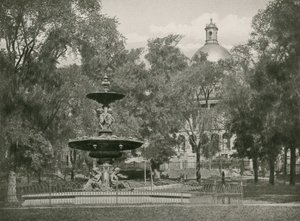 Boston Common (fotogravure) af American School