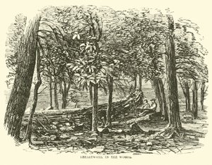 Brystarbejde i skoven, juli 1863 af American School
