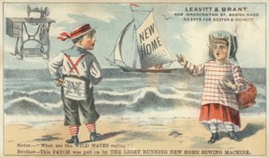 Bror Og Søster På Stranden af American School